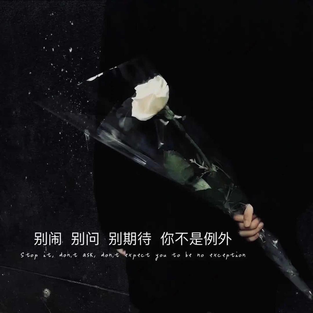 🦋ℒ濃煙ঞღ᭄ꦿ꯭配დ᭄烈酒꧔ꦿ℘💞