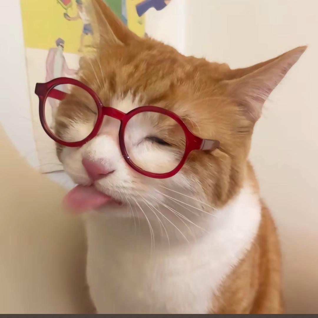 猫机