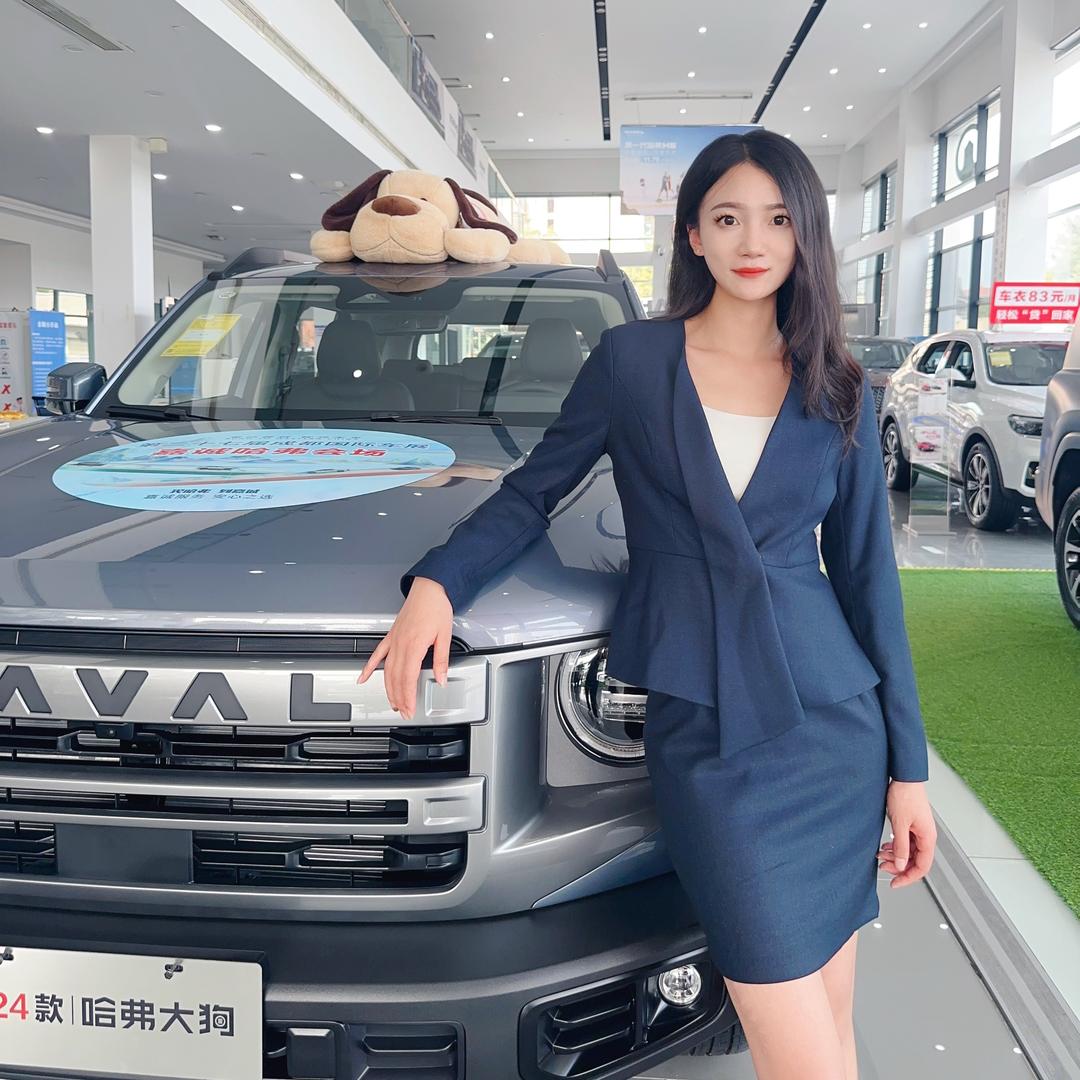 德阳嘉诚溧溧说哈弗