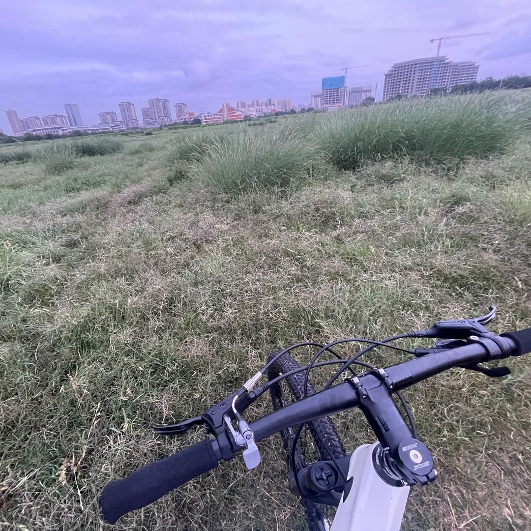 奋斗的蜗牛