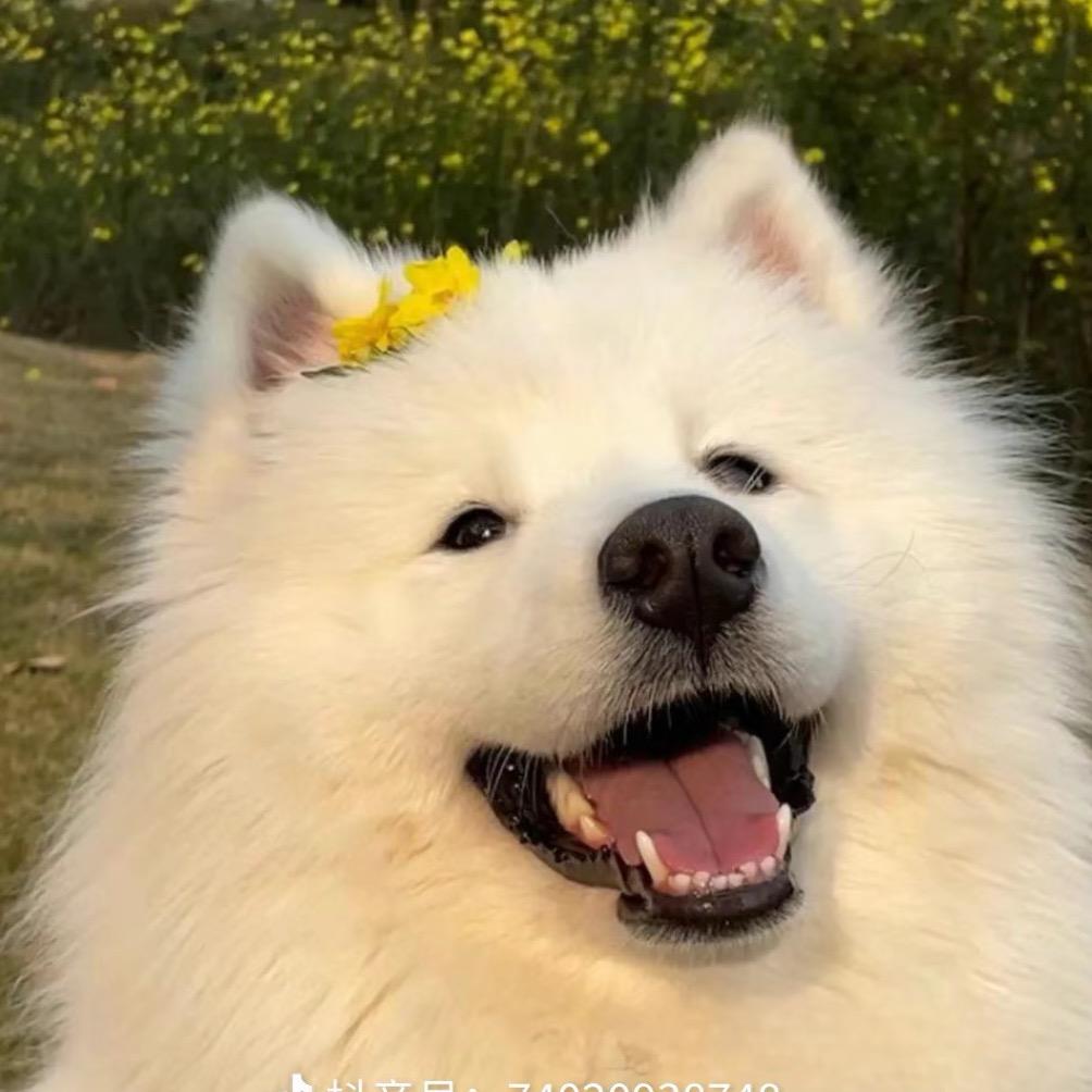 卡姿兰大眼 🌸