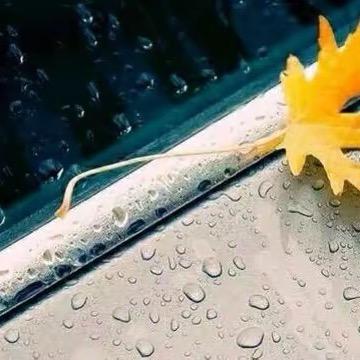 执笔诉情怀             ༽