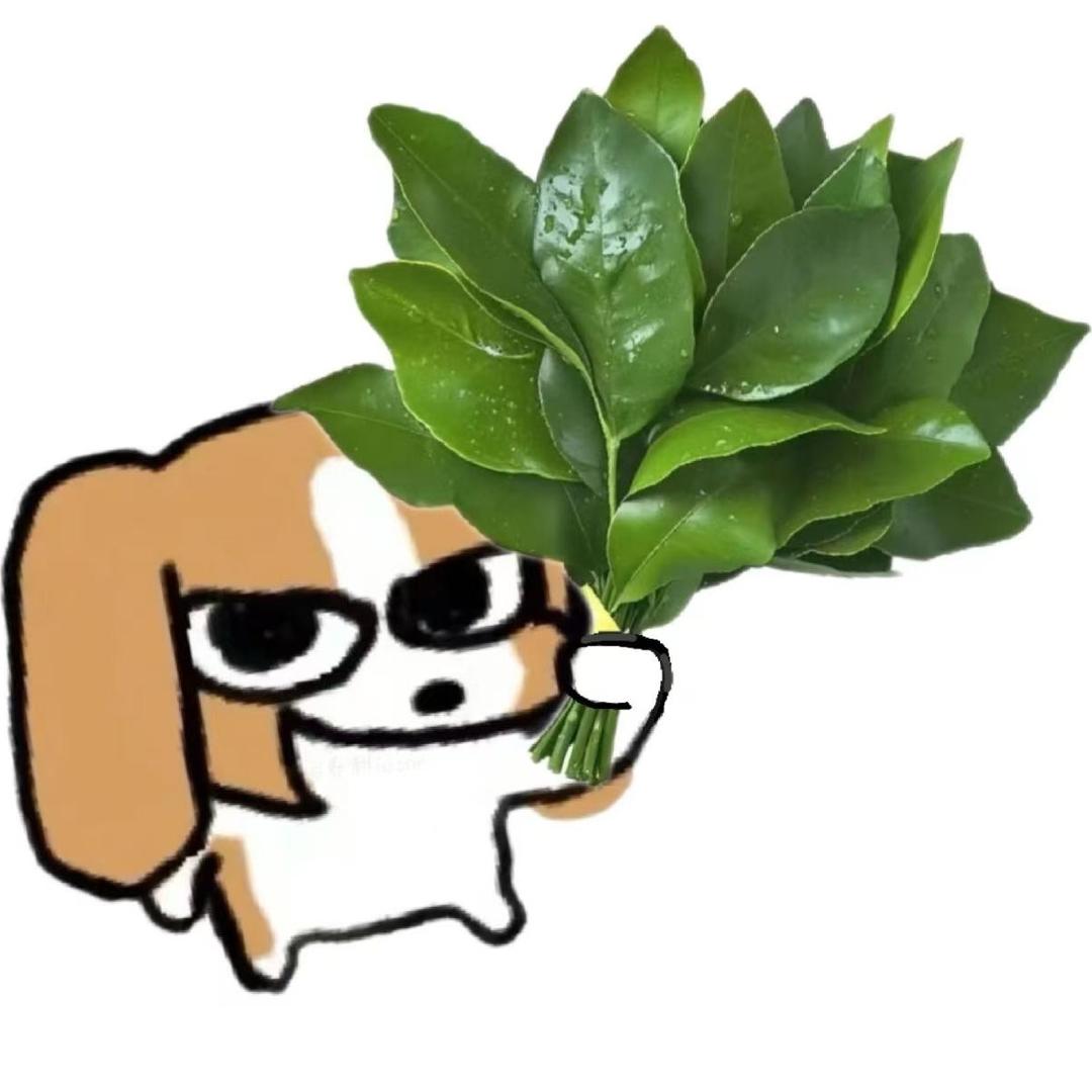 小黎吃颗梨