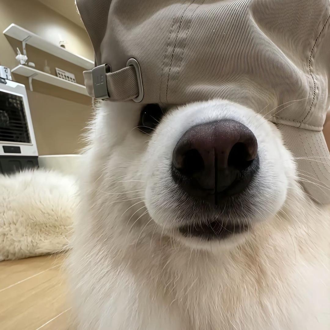 :