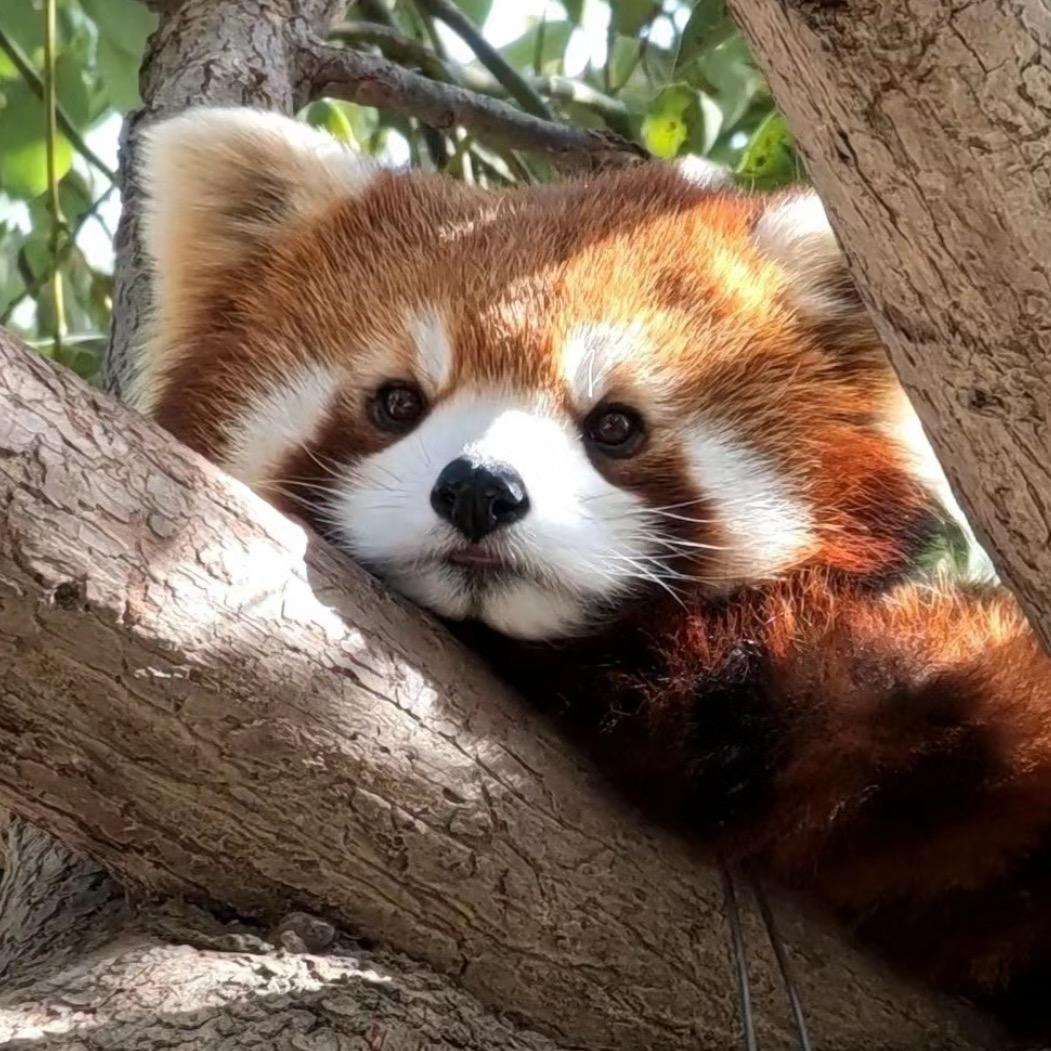 熊能能