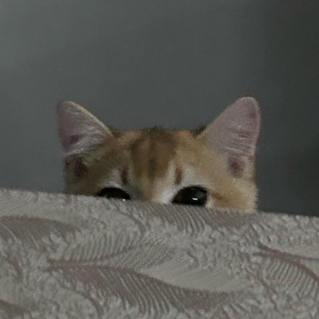 有点那个了