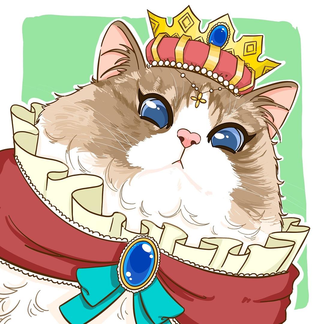 有钱猫宠物用品