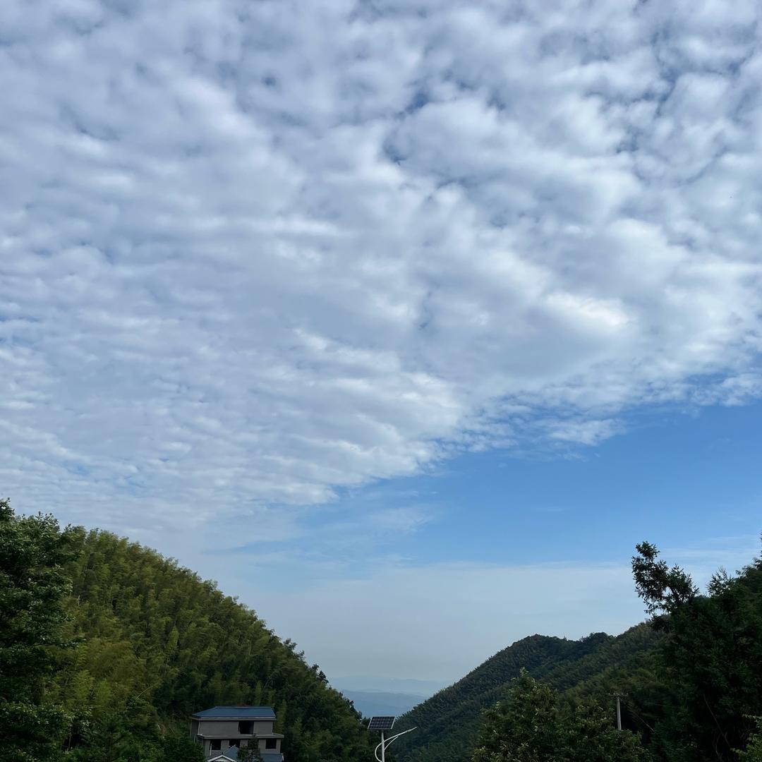 南岳莲花避暑民宿