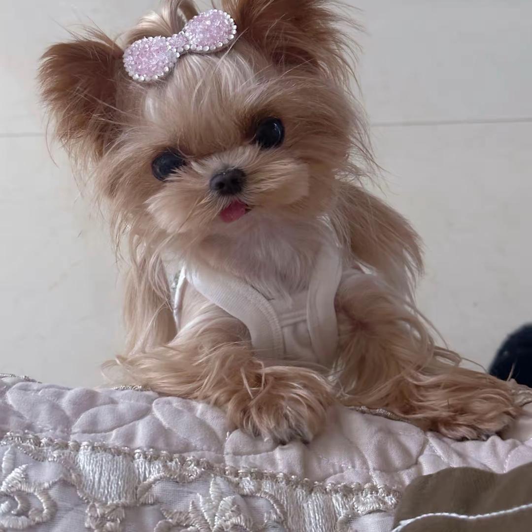 小约