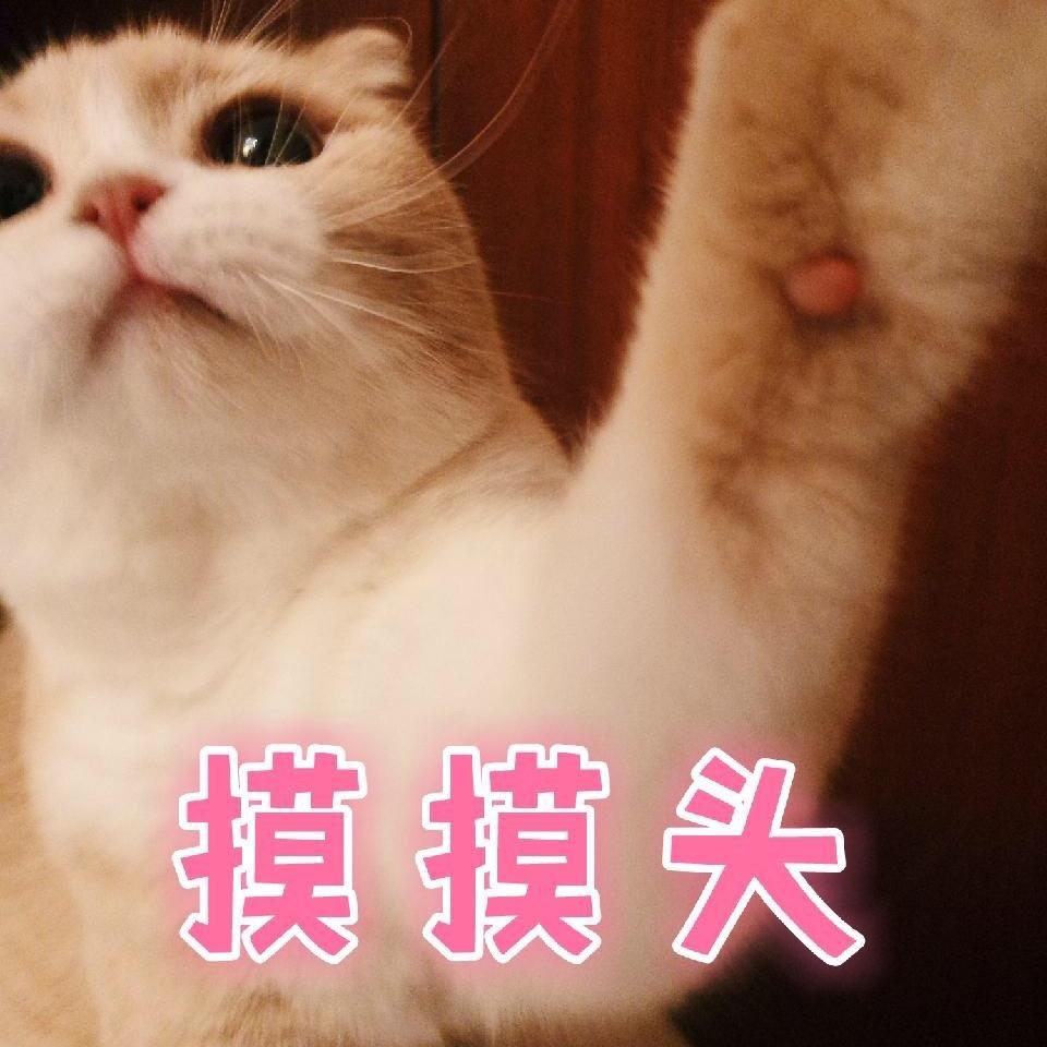 💓💓💓