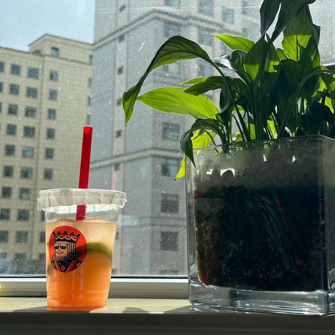 昭阳ᐝᥫᩣ🇵🇸