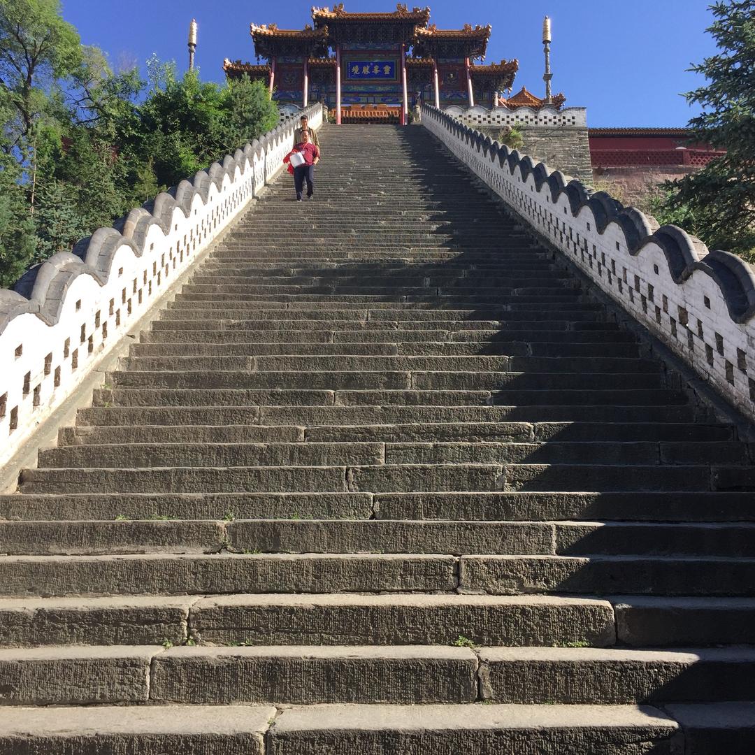 谨尘