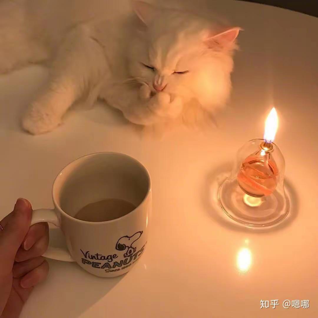小唐 bb