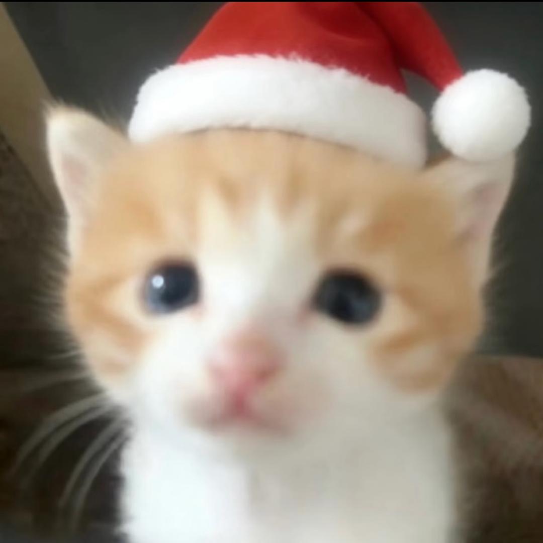 melo