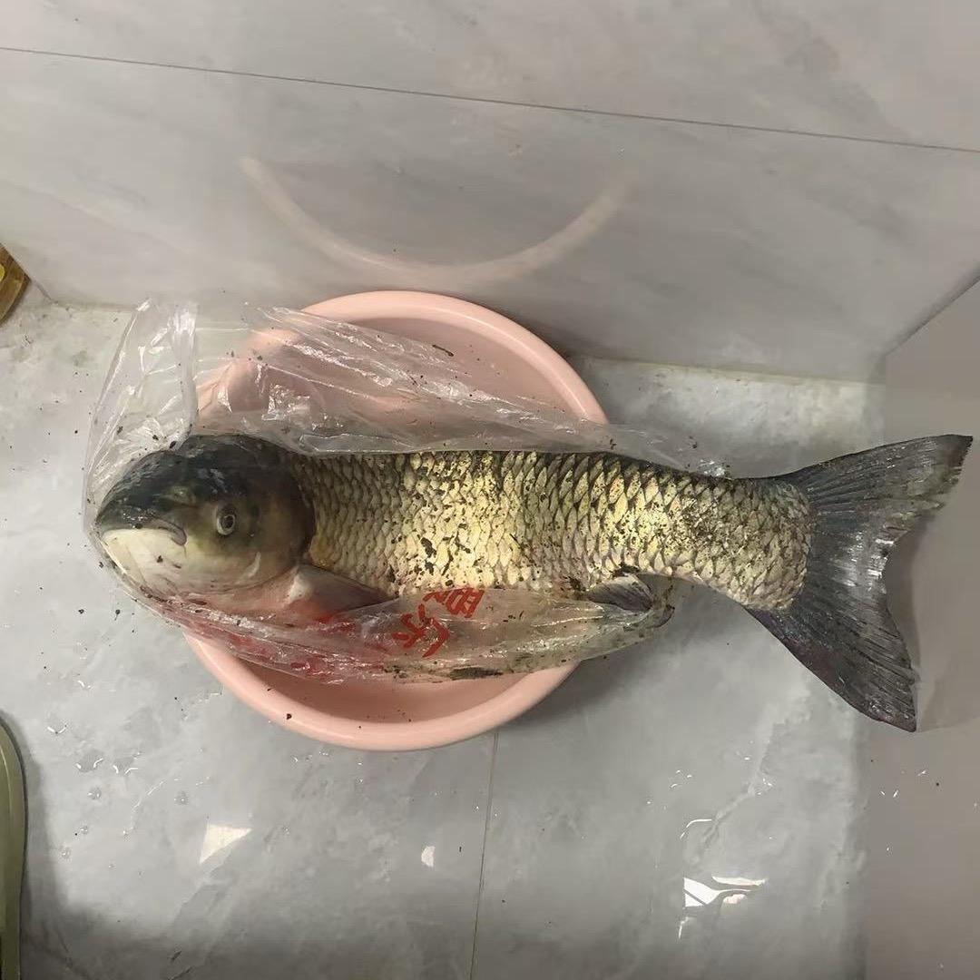 小曹爱钓鱼