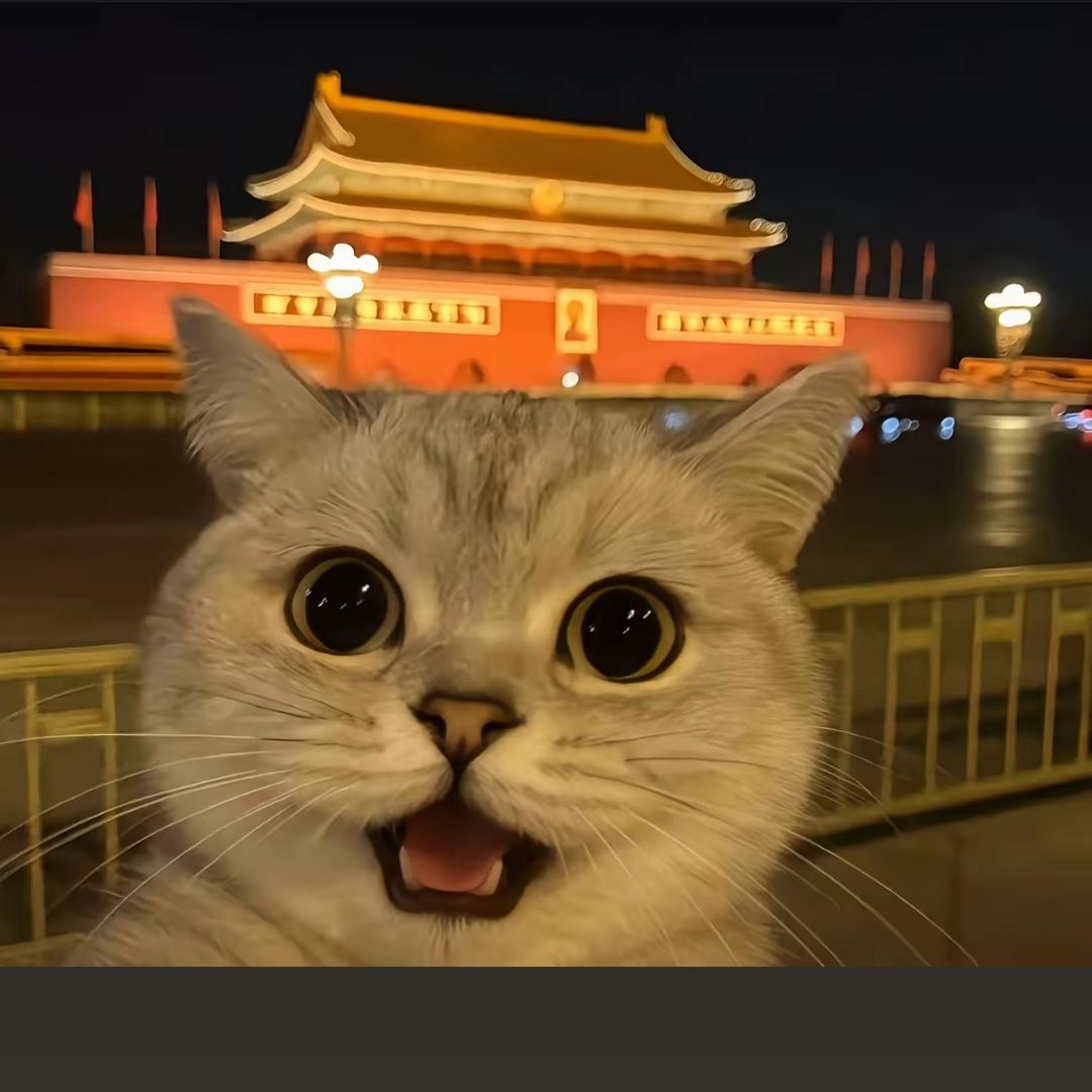 老子直接两面煎炒