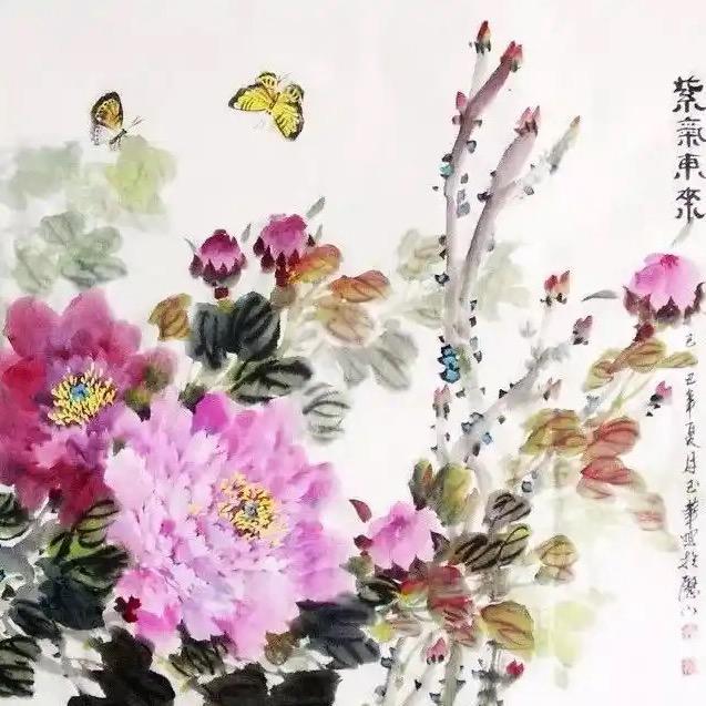 舒眉