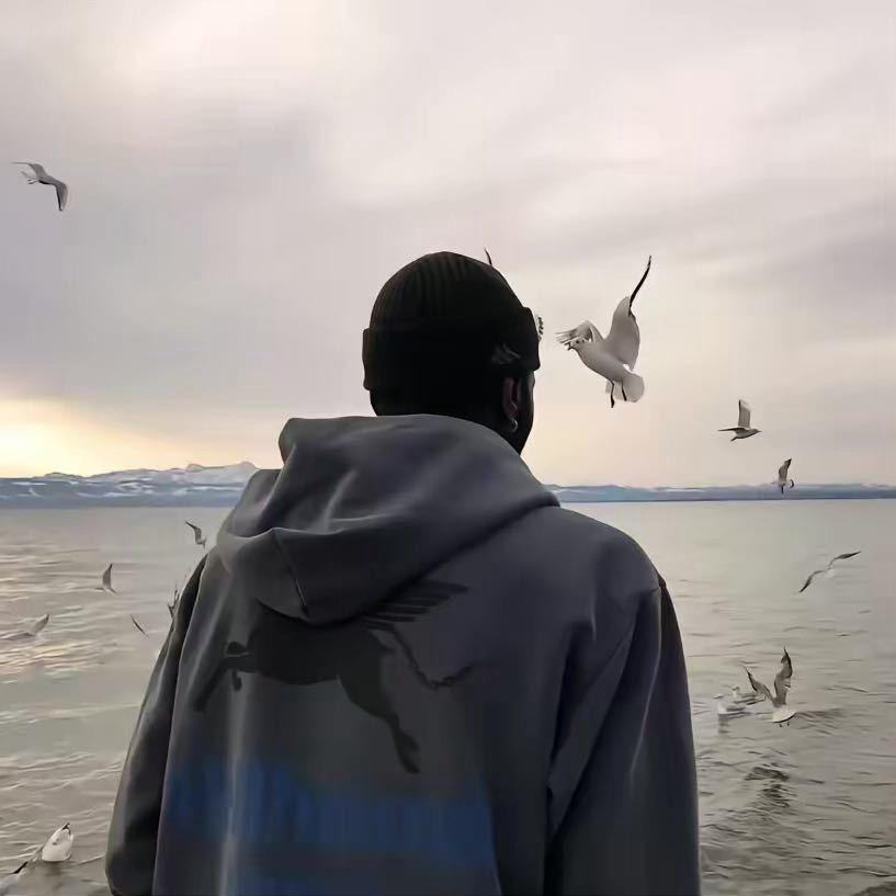 爱溜车的小猪