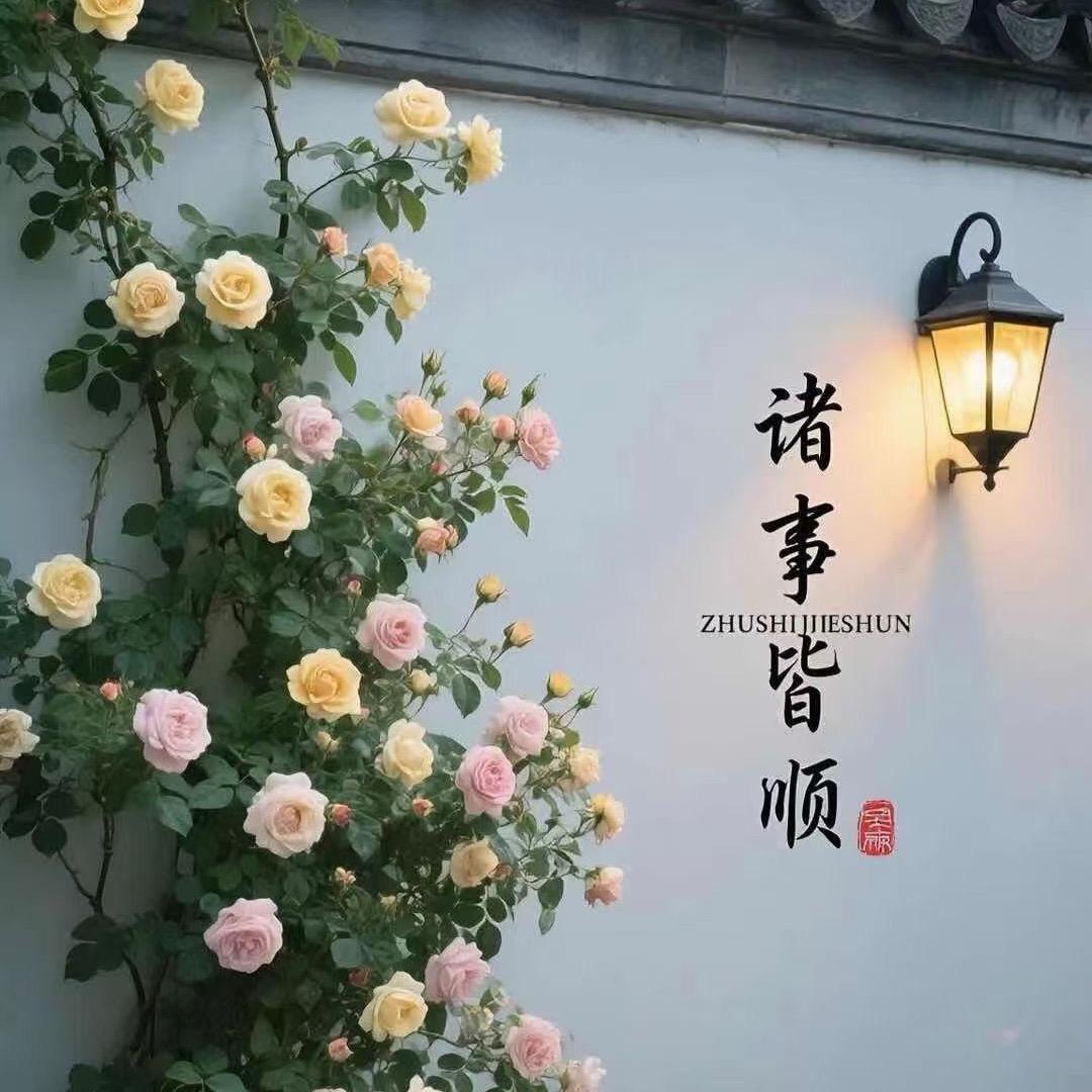 花友月季