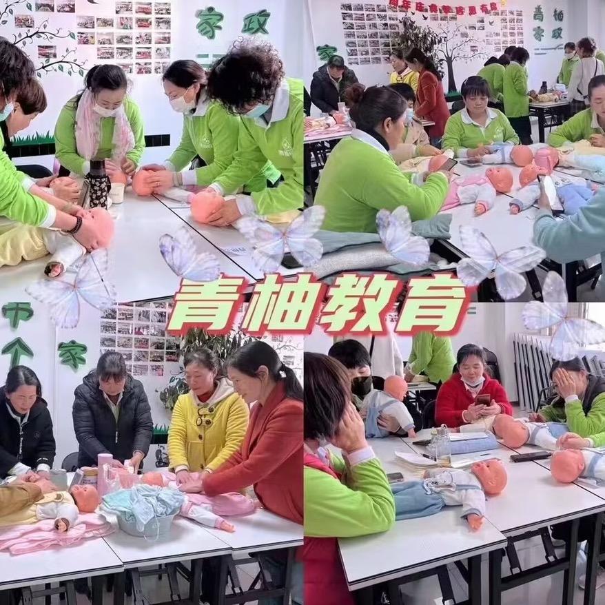 青柚教育