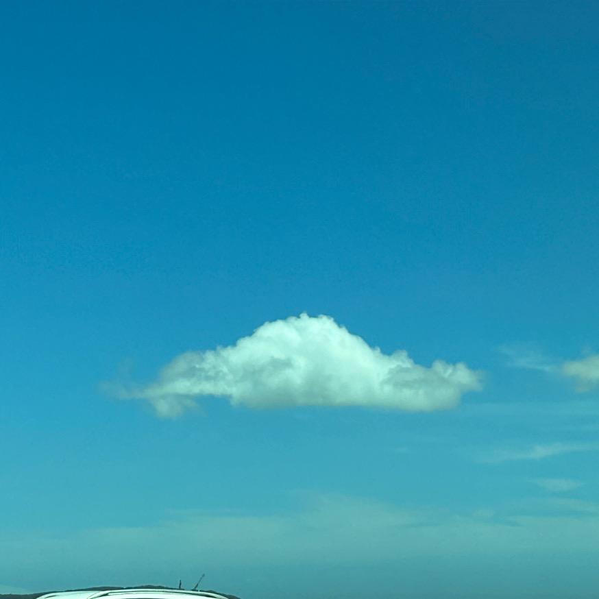 一叶知秋浓