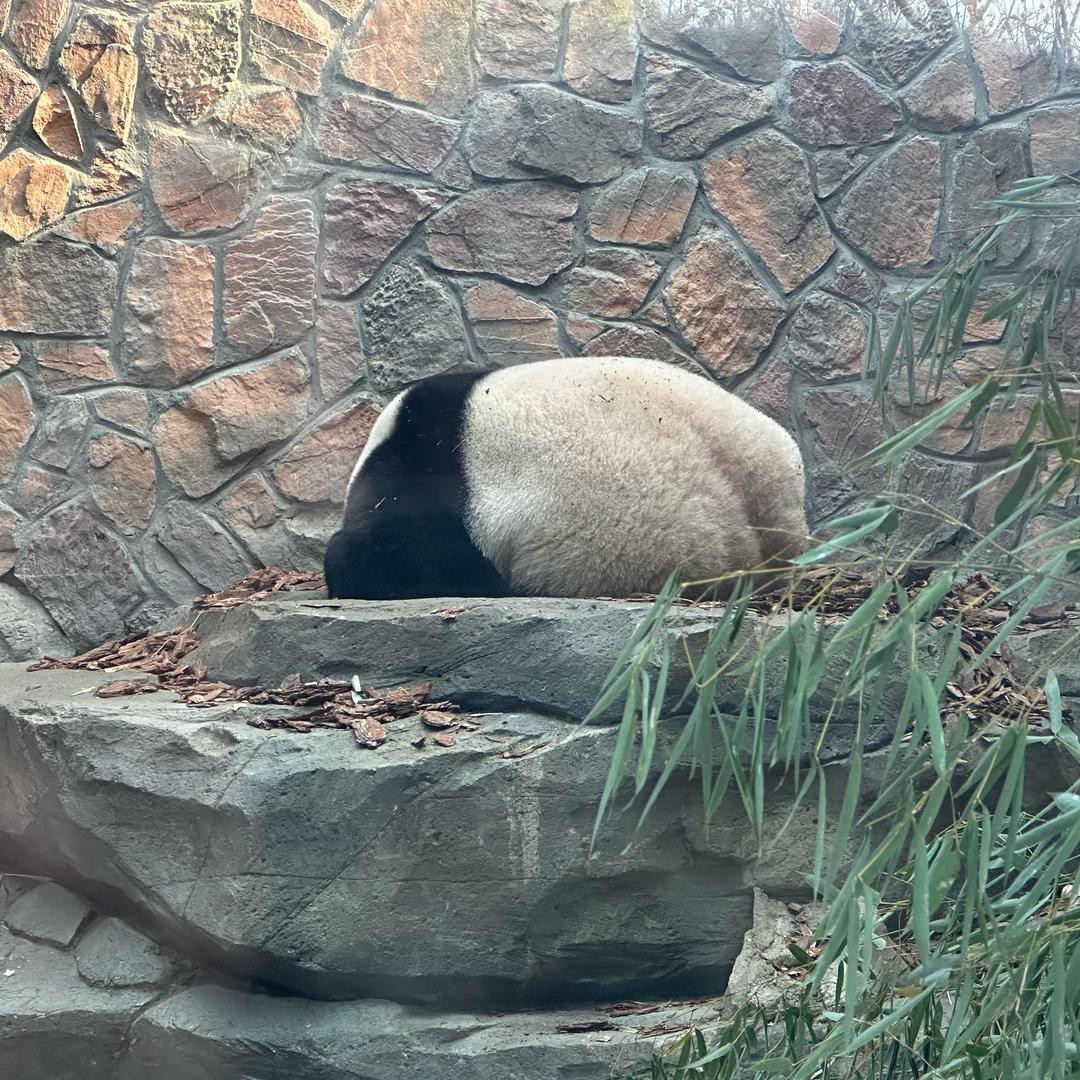 大福～