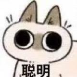 褚哲