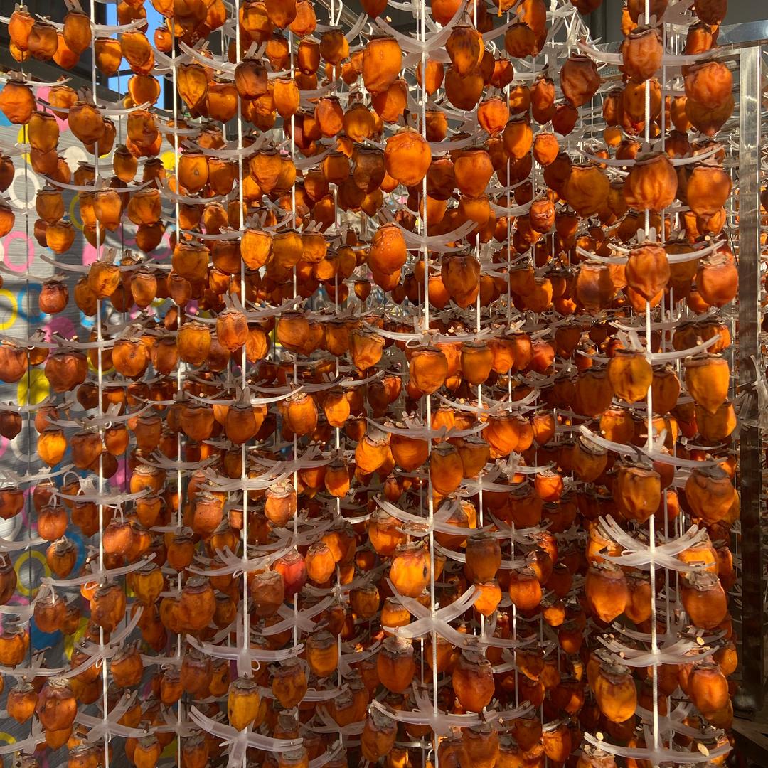 仙果果