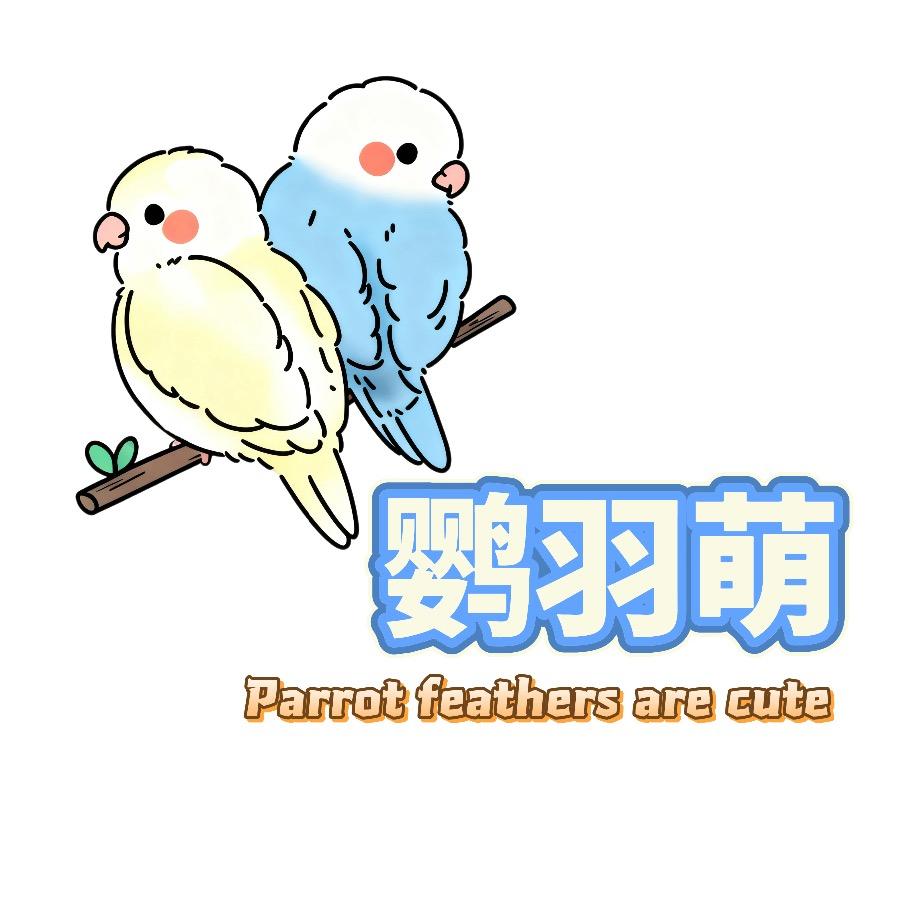 新疆鹦羽萌宠物工作室