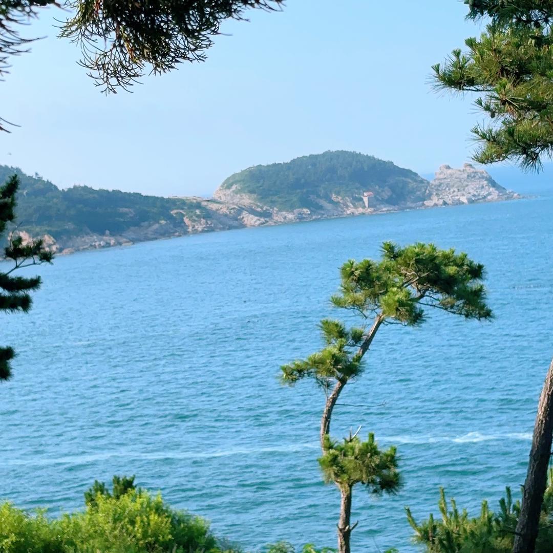 和兴御城