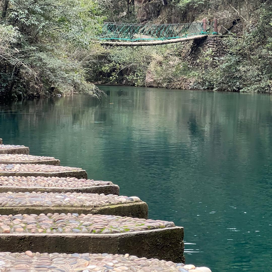 今天中午吃点啥