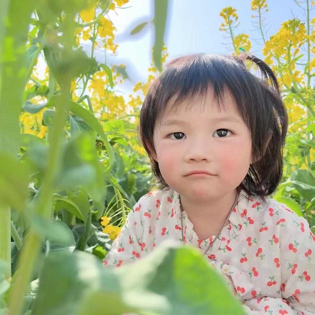 小崽多多