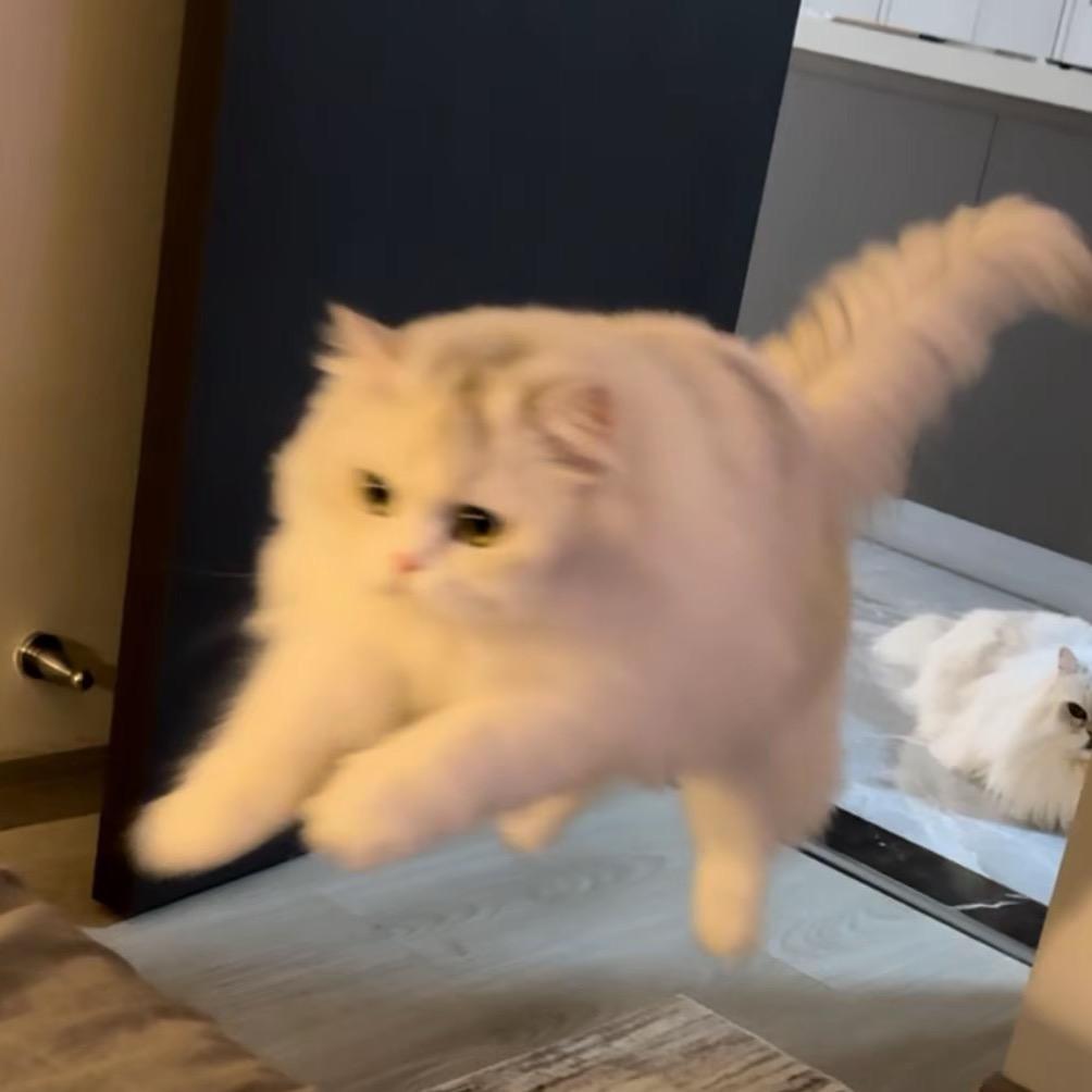 战神