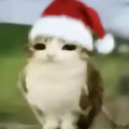 dojaejung（见过travis版）