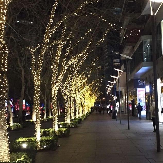 桥哥正义分享社