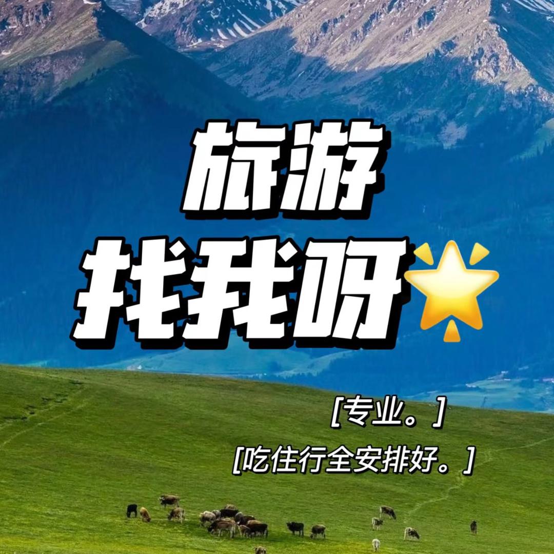 旅游咨询