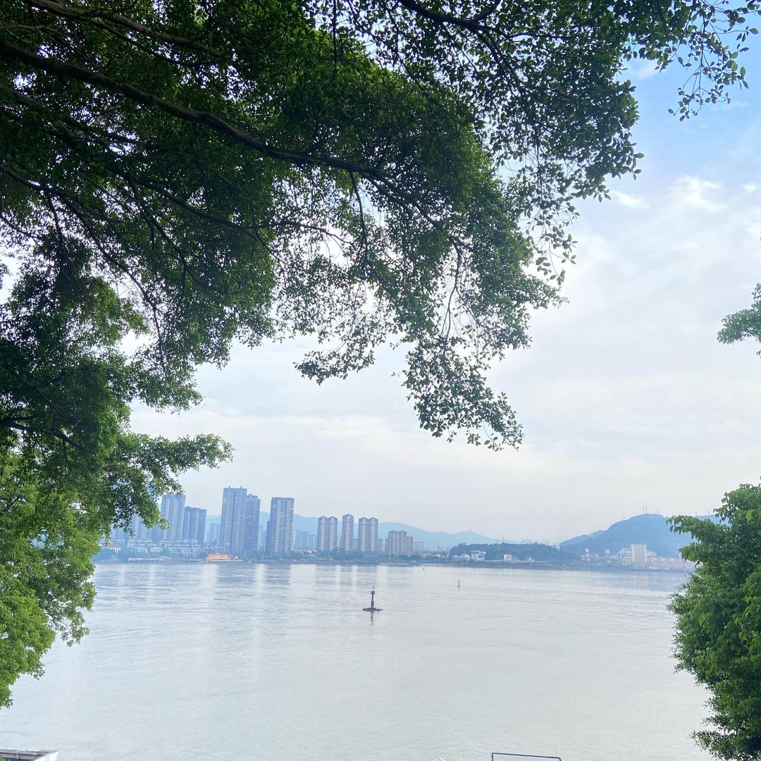 15年港澳老铺（有高货）高货）