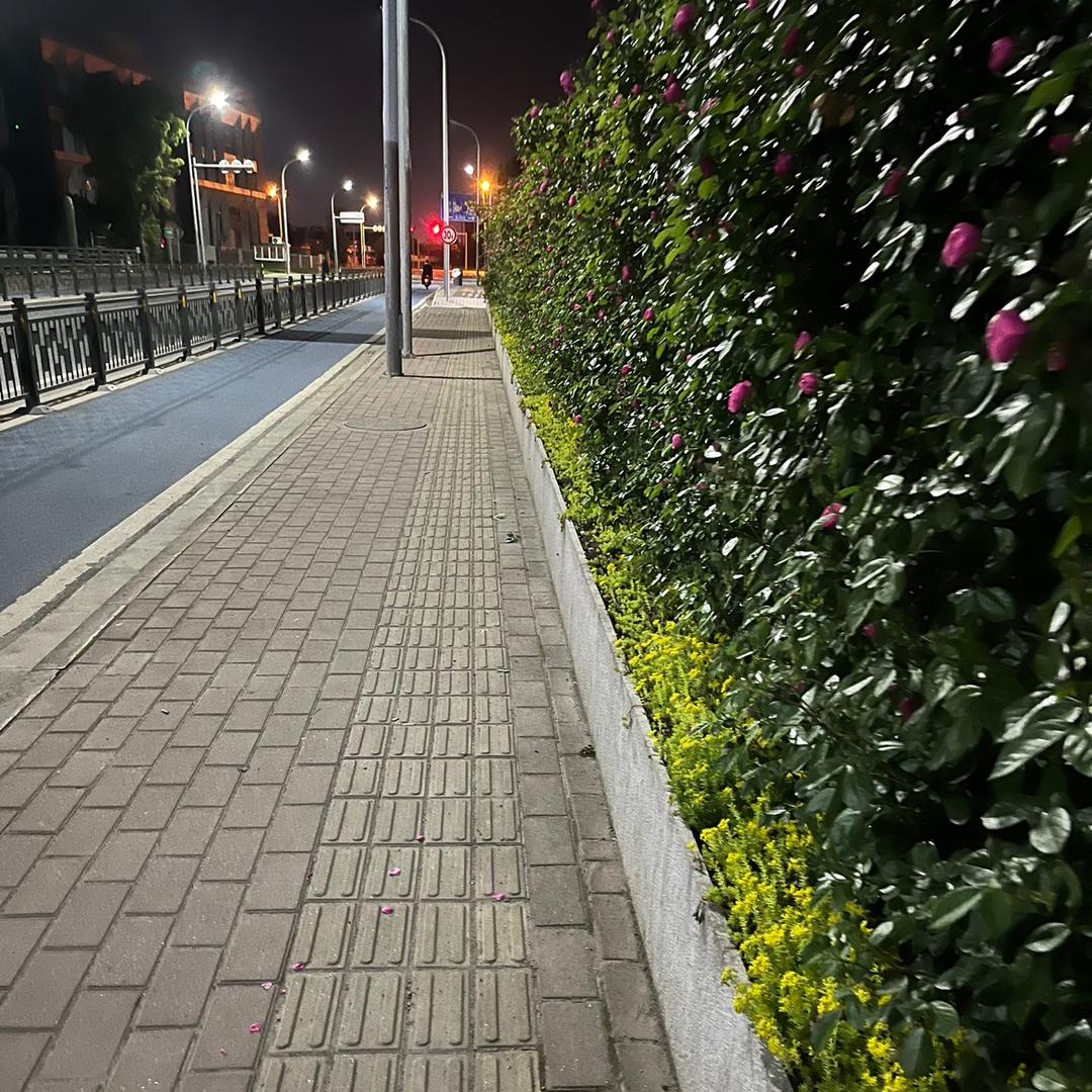 你是年少的欢喜呦