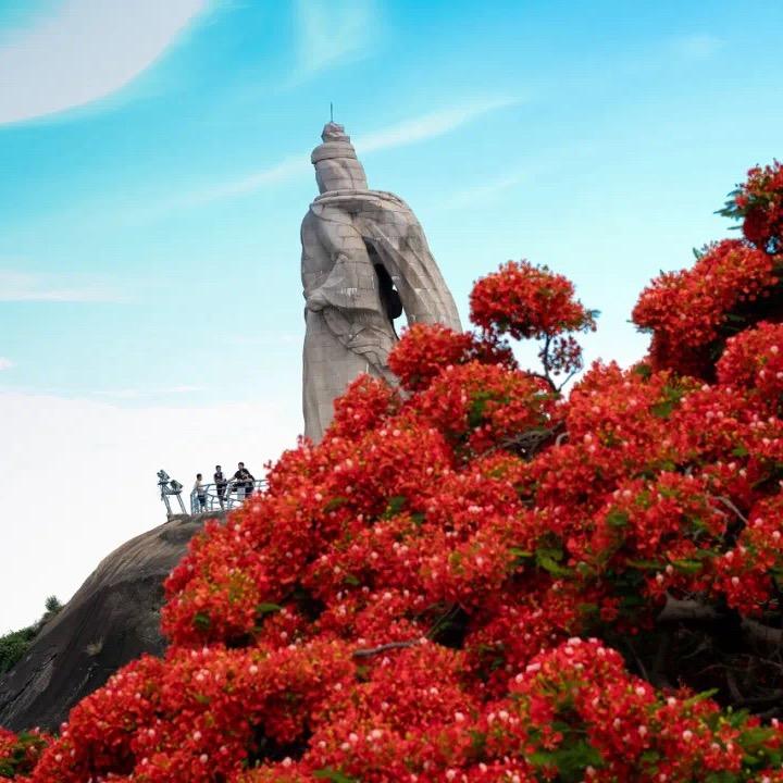 集结号