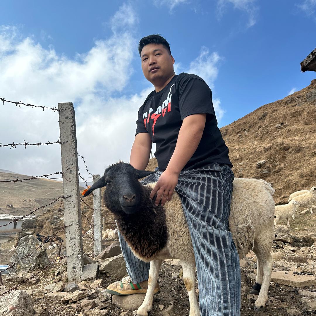 大海草山马书记清真鲜货烧烤加工厂