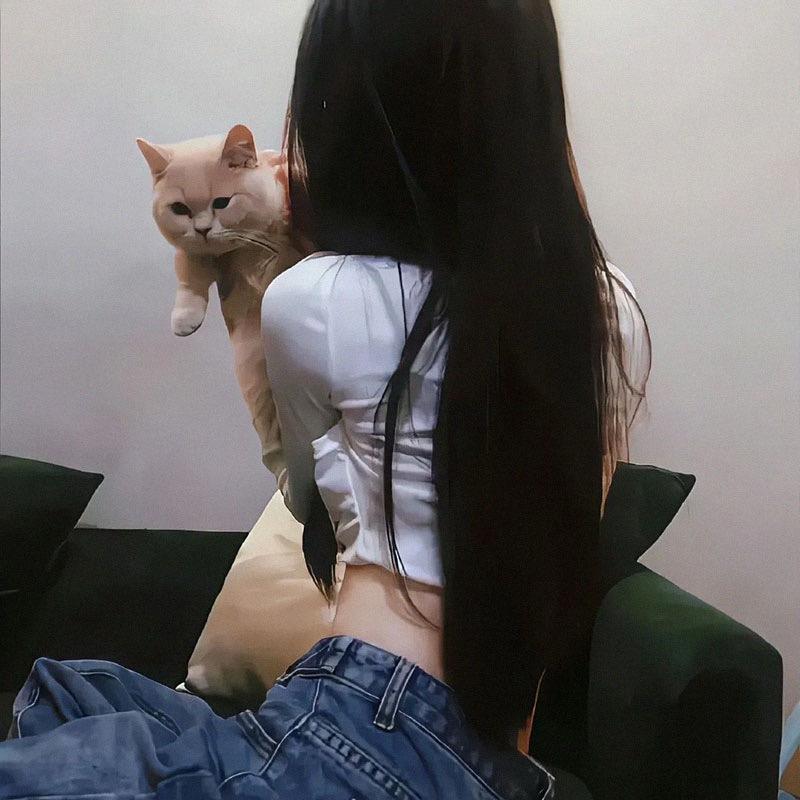 卷芯甜菜菜ⁱ ˡᵘᵒ