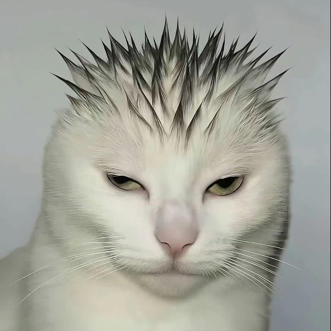 ruiruiii
