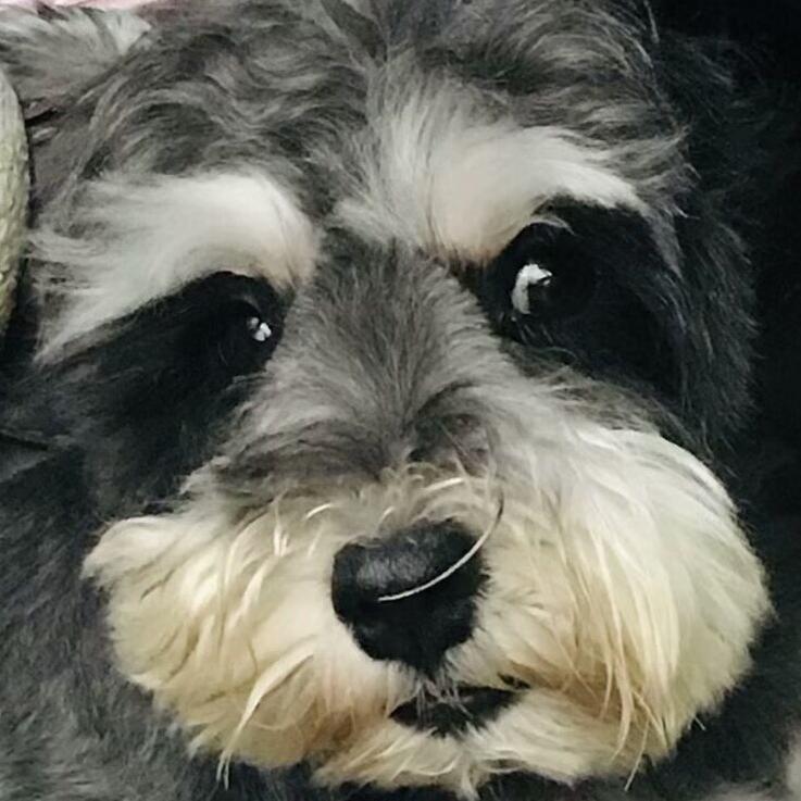 我是谁…