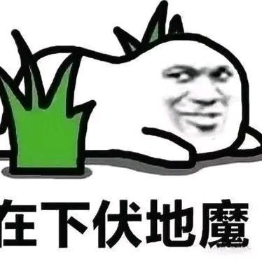 苟分天花板（12点直播）