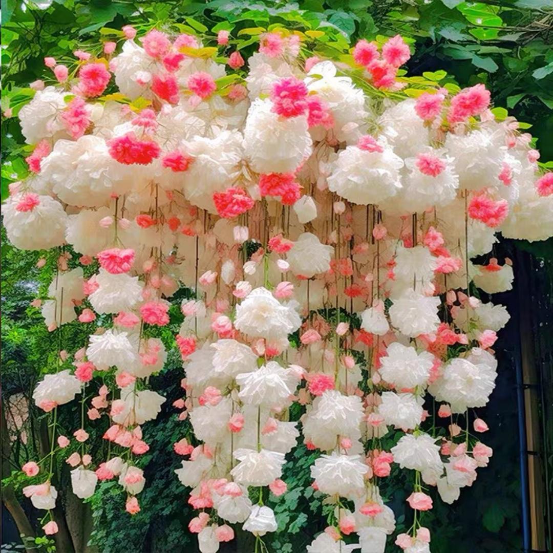 感恩所有