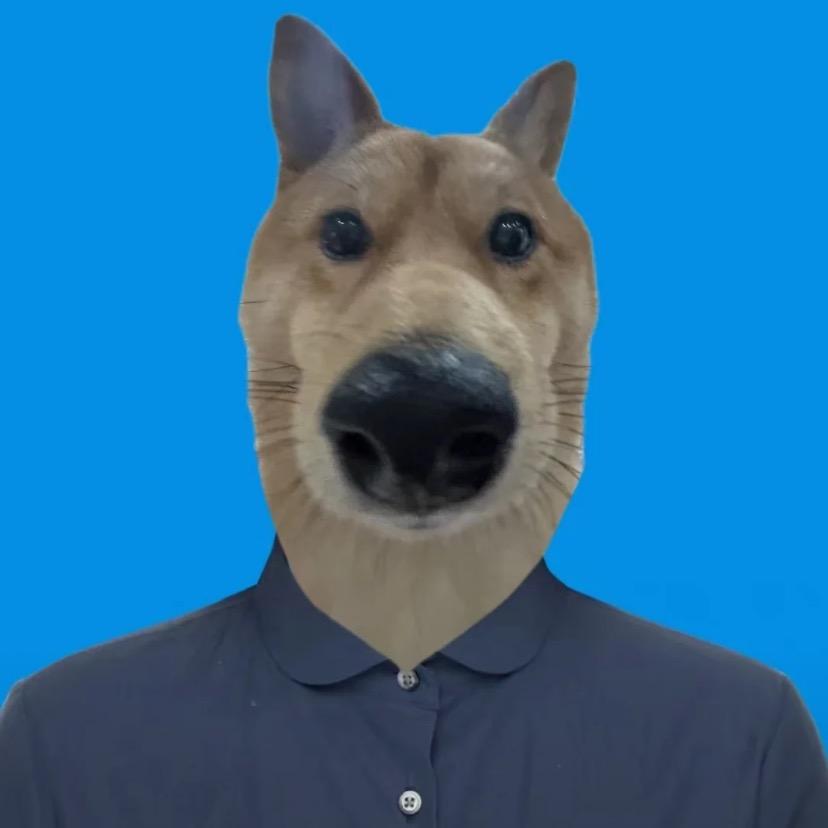 孤独的狼.