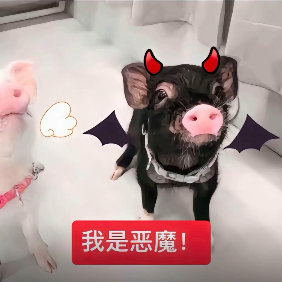世界中伤我我说睡一觉再说