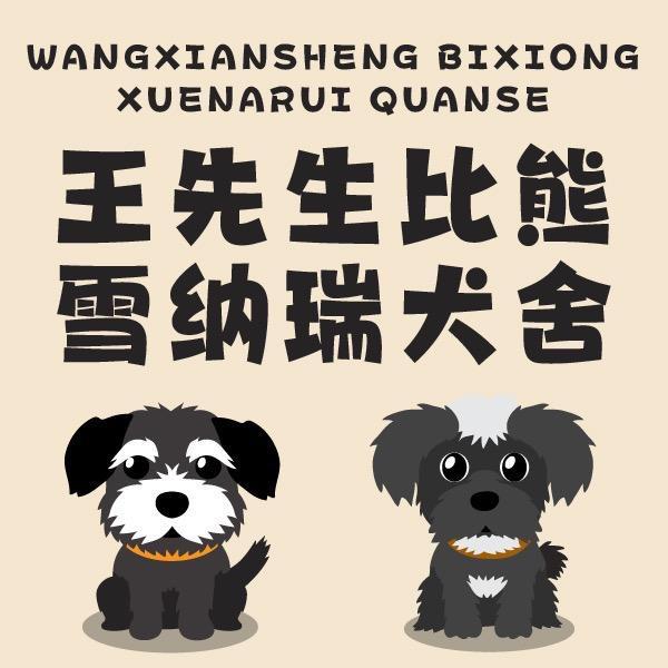 天津王先森犬舍（比熊，雪纳瑞）