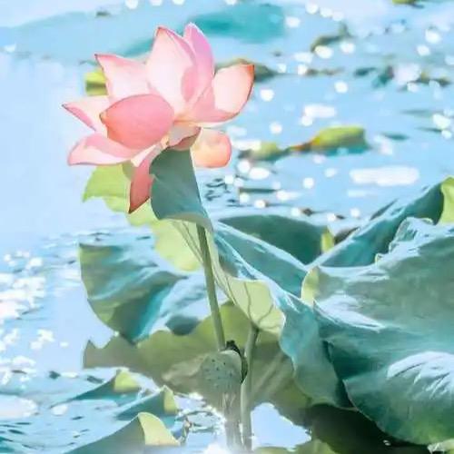 善缘堂   高师傅