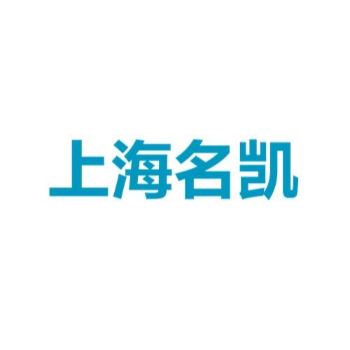 大通轻客上海名凯